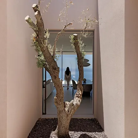 Celestia Cove, Earthy Architecture Meets Endless Blue By Etouri ヴィラ *