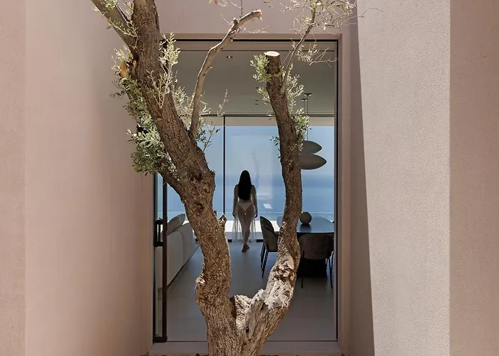 Celestia Cove, Earthy Architecture Meets Endless Blue By Etouri 别墅 *